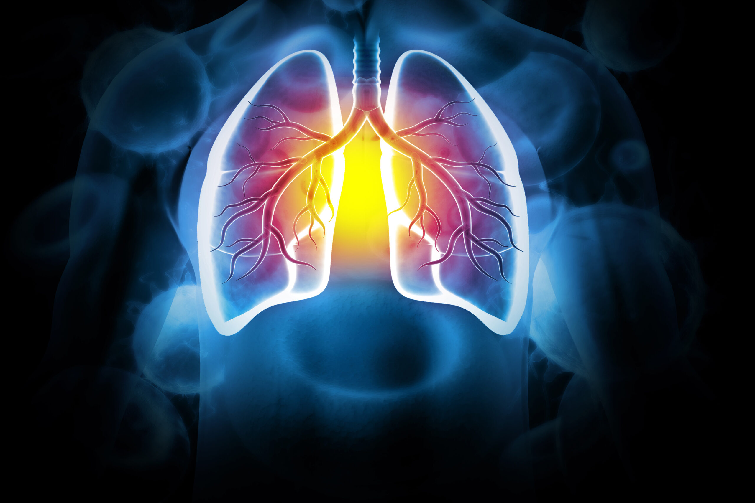 Chronic obstructive pulmonary disease, respiratory diseases, 3d illustration